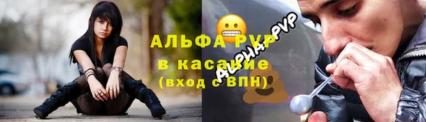 метадон Богданович