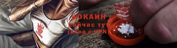 метадон Богданович