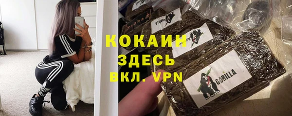 метадон Богданович