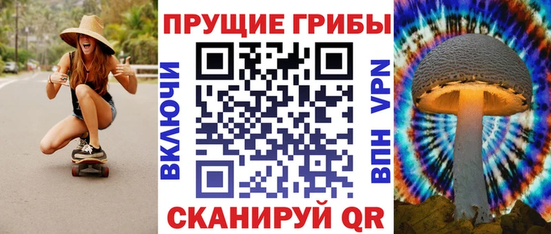 Галлюциногенные грибы Cubensis  MEGA зеркало  Старица 