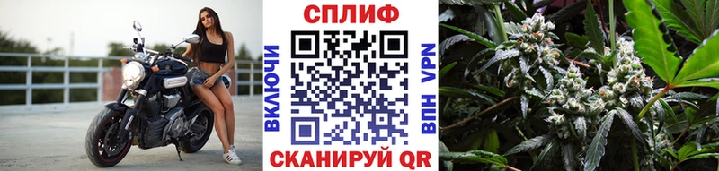 купить наркотики цена  Старица  Бошки Шишки AK-47 